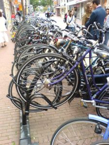 Rekken Ziekerstraat